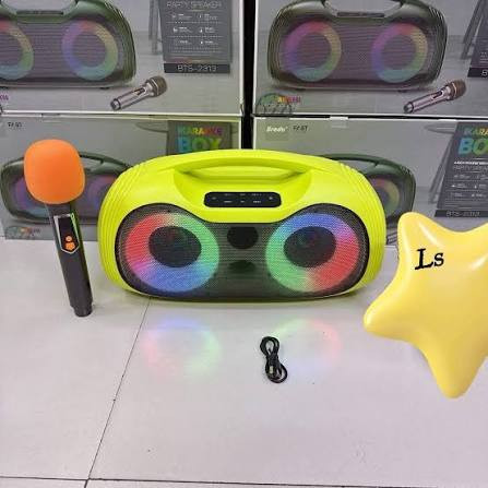 اسپیکر BTS2313 میکروفون بیسیم RGB ظرفیت باتری 3600mAh سایزبلندگو 24