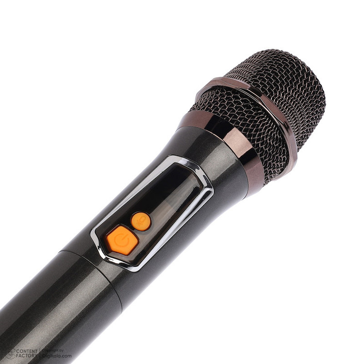 اسپیکر بلوتوثی قابل حمل برودو (اصل) مدل BTS-2255 به همراه ۲ عدد میکروفن اصلی
