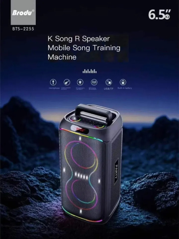 اسپیکر بلوتوثی قابل حمل برودو (اصل) مدل BTS-2255 به همراه ۲ عدد میکروفن اصلی
